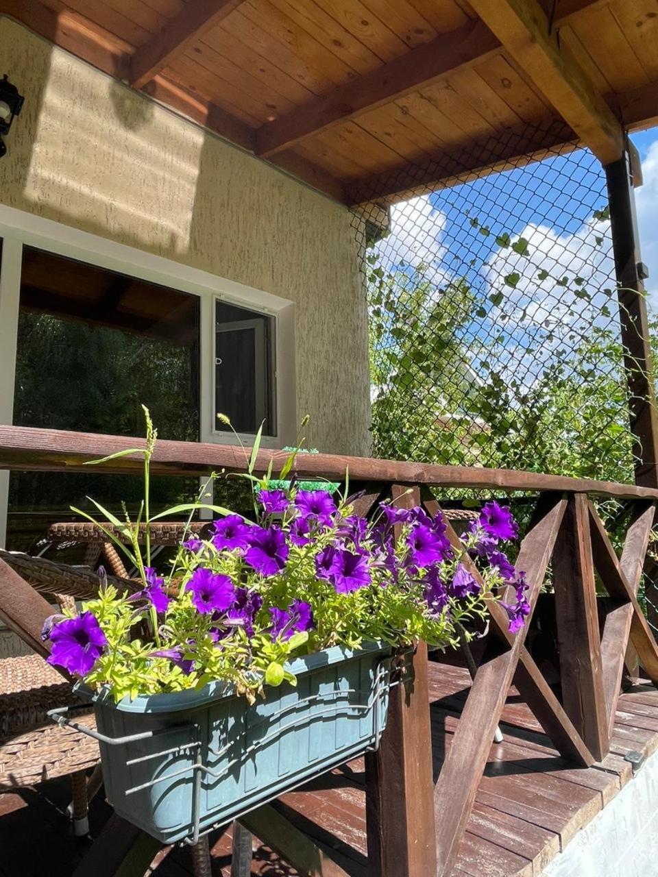 Private Bed & Breakfast Shchuchinsk Exterior photo